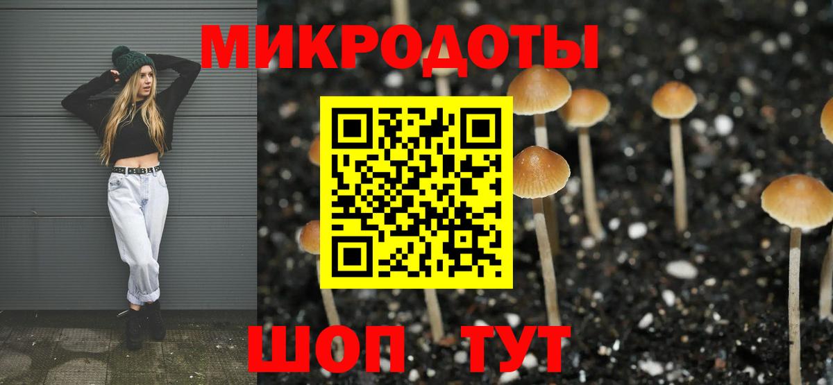 Псилоцибиновые грибы MAGIC MUSHROOMS Великий Устюг